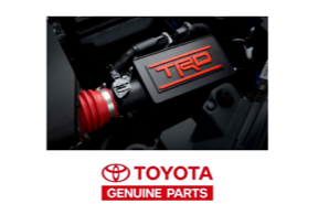 TRD Air Intake System